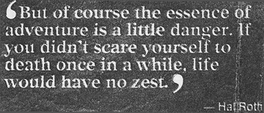 Quote_Roth_384.jpg